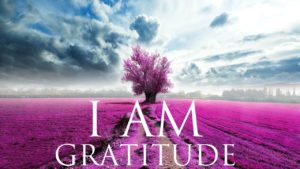 I AM Gratitude